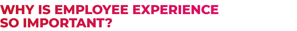 Why is employee experience so important?