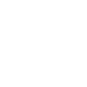 20%