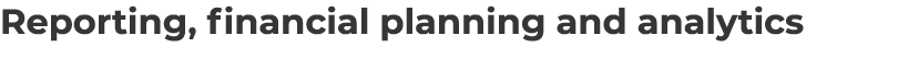 Reporting, financial planning and analytics