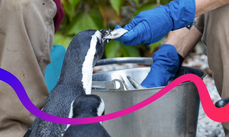 ZSL renews decade-long MHR partnership 