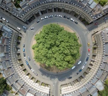 birds eye view of a roundabout in the city with tree at the centre
