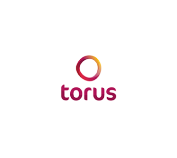 torus logo
