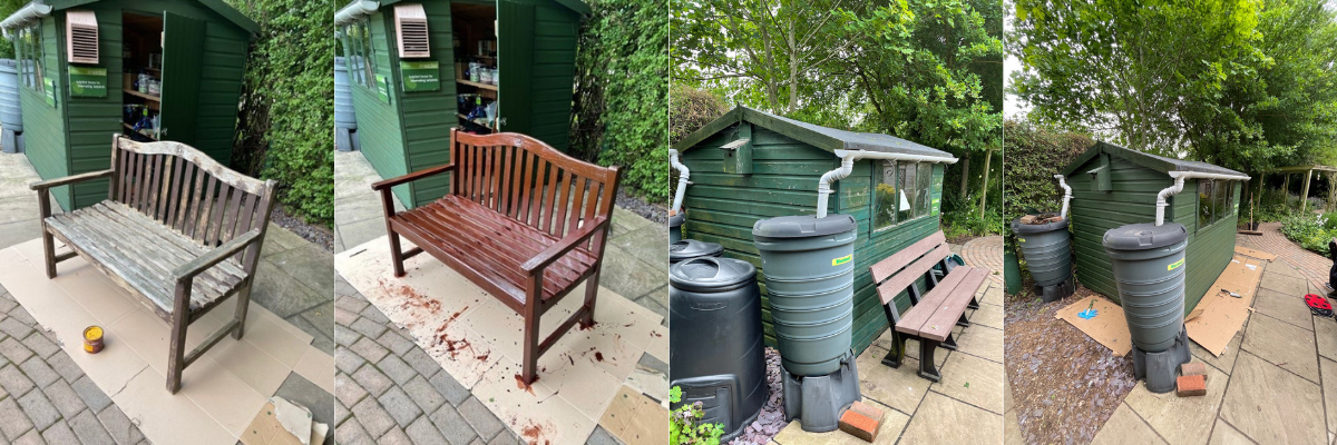 Garden bench and shed