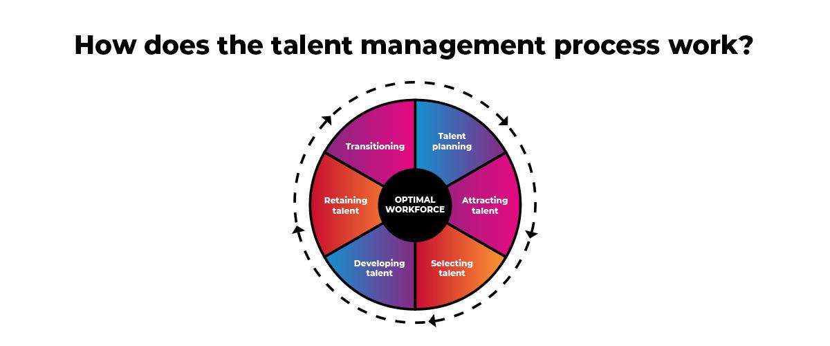 The talent management process, stating the optimal workforce which includes; transitioning, talent planning, retaining talent, developing talent, selecting talent, attracting talent.