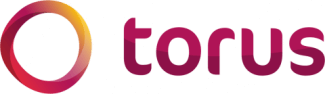 Torus logo with transparent background