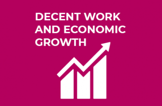 UN goal for sustainability, Decent work and economic growth showing a increasing graph.