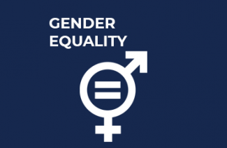 UN goal for sustainability, Gender Equality.