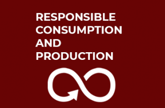 UN goal for sustainability, Responsible consumption and production.