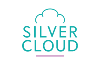 Silver cloud partner logo