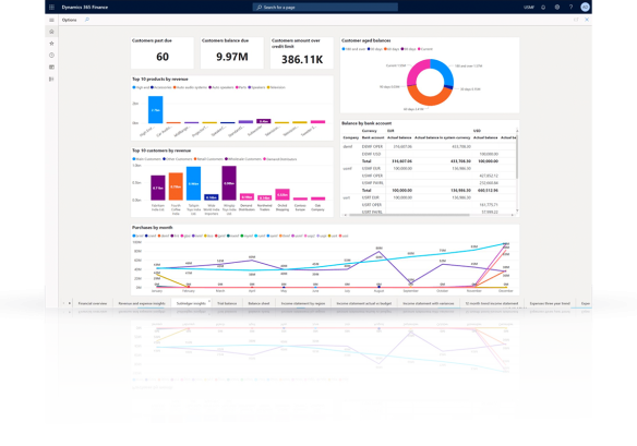 Microsoft finance software, showing reporting and analytics