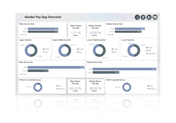 iTrent people analytics platform, gender pay gap overview displaying