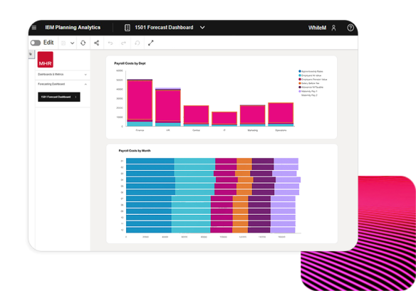 IBM planning analytics showing data on screen