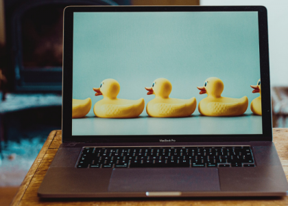 Work from home set up with a picture of ducks aligned on a laptop screen