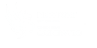 Newport city council white