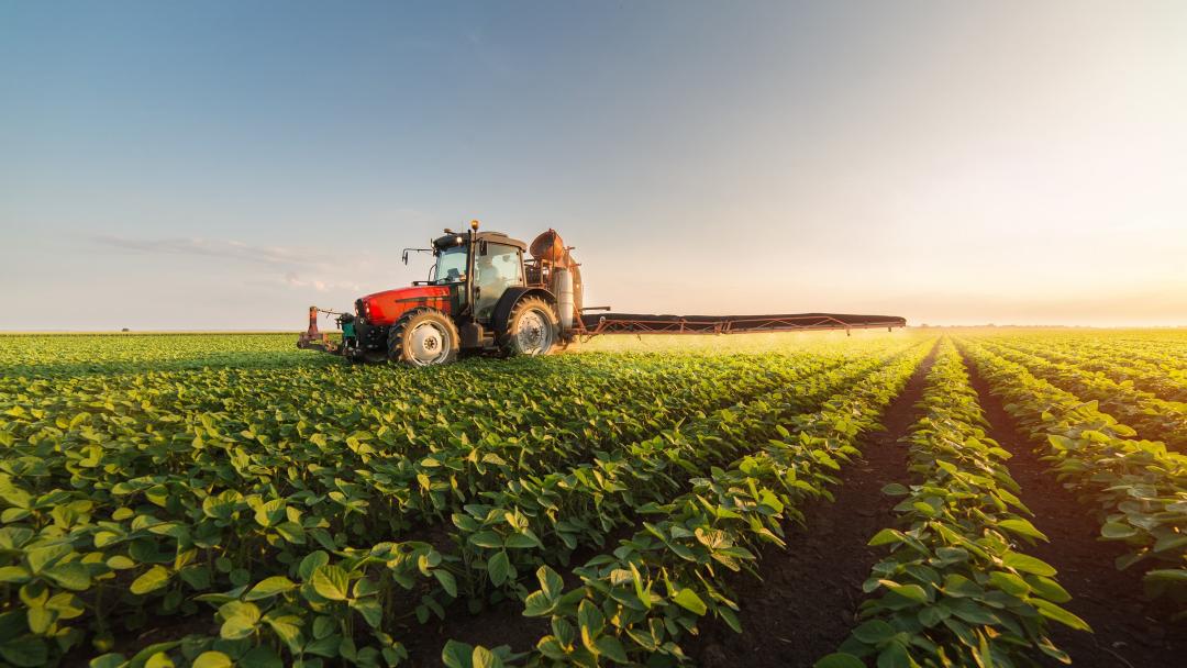 Tractor in field spraying crops