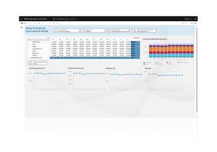 IBM planning analytics dashboard overview.